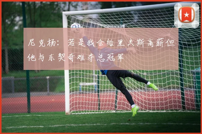 尼克杨：若是我会给里夫斯高薪但他与东契奇难夺总冠军